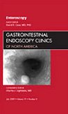 Enteroscopy, An Issue of Gastrointestinal Endoscopy Clinics (Volume 19-3) (The Clinics: Internal Medicine, Volume 19-3)