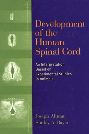 Development of the Human Spinal Cord: An Interpretation Based on Experimental Studies in Animals