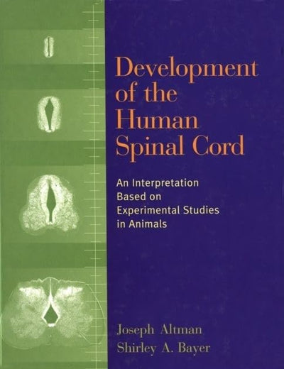 Development of the Human Spinal Cord: An Interpretation Based on Experimental Studies in Animals