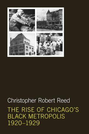 The Rise of Chicago's Black Metropolis, 1920-1929 (New Black Studies Series)