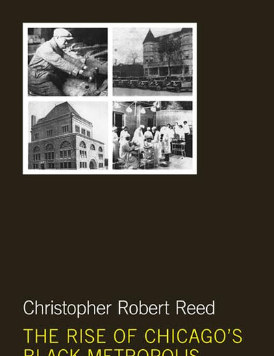 The Rise of Chicago's Black Metropolis, 1920-1929 (New Black Studies Series)