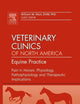 Pain in Horses: Physiology, Pathophysiology and Therapeutic Implications, An Issue of Veterinary Clinics: Equine (Volume 26-3) (The Clinics: Veterinary Medicine, Volume 26-3)