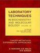Cancer Metastasis: Experimental Approaches (Volume 29) (Laboratory Techniques in Biochemistry and Molecular Biology, Volume 29)