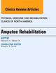 Amputee Rehabilitation, An Issue of Physical Medicine and Rehabilitation Clinics of North America (Volume 25-1) (The Clinics: Internal Medicine, Volume 25-1)