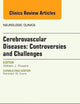 Cerebrovascular Diseases: Controversies and Challenges, An Issue of Neurologic Clinics (Volume 33-2) (The Clinics: Radiology, Volume 33-2)