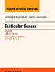 Testicular Cancer, An Issue of Urologic Clinics (Volume 42-3) (The Clinics: Internal Medicine, Volume 42-3)