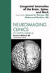 Congenital Anomalies of the Brain, Spine, and Neck, An Issue of Neuroimaging Clinics (Volume 21-3) (The Clinics: Radiology, Volume 21-3)