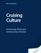 Cruising Culture: Promiscuity, Desire and American Gay Literature (Tendencies: Identities, Texts, Cultures)