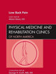 Low Back Pain, An Issue of Physical Medicine and Rehabilitation Clinics (Volume 21-4) (The Clinics: Orthopedics, Volume 21-4)