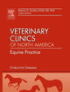 Endocrine Diseases, An Issue of Veterinary Clinics: Equine Practice (Volume 27-1) (The Clinics: Veterinary Medicine, Volume 27-1)