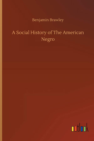 A Social History of The American Negro