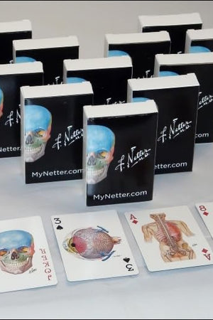 Netter Playing Cards: Netter's Anatomy Art Cards Box of 12 Decks (Bulk) (Netter Basic Science)