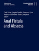 Anal Fistula and Abscess (Coloproctology)
