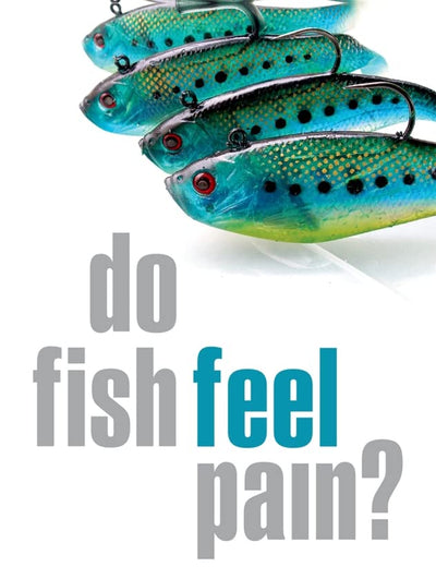 Do Fish Feel Pain?