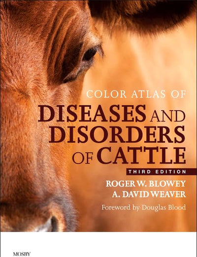 Color Atlas of Diseases and Disorders of Cattle: Color Atlas of Diseases and Disorders of Cattle