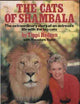 Cats of Shambala