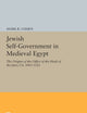 Jewish Self-Government in Medieval Egypt: The Origins of the Office of the Head of the Jews, ca. 1065-1126 (Princeton Studies on the Near East)
