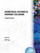 Geometrical Pictures In Hadronic Collisions