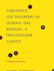 Substance Use Disorders in Lesbian, Gay, Bisexual, and Transgender Clients: Assessment and Treatment (Foundations of Social Work Knowledge Series)