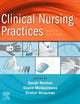 Clinical Nursing Practices: Guidelines for Evidence-Based Practice