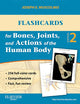 Flashcards for Bones, Joints, and Actions of the Human Body-1st edition