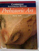 The Cambridge Illustrated History of Prehistoric Art