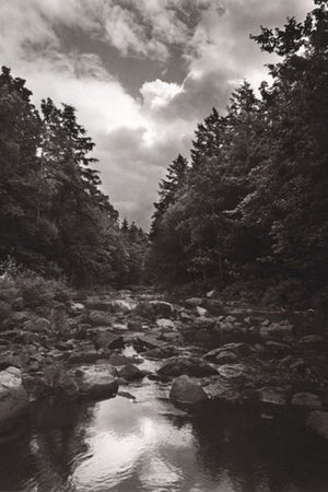 To Save a River