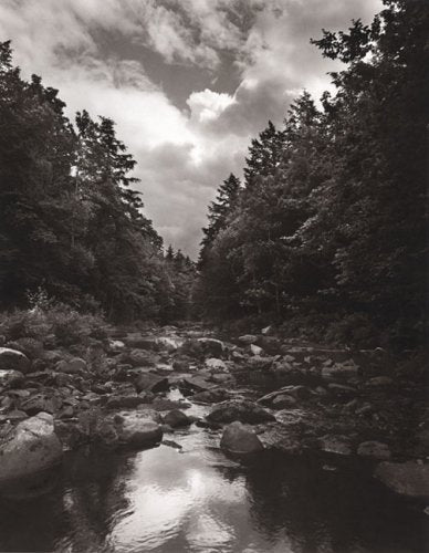 To Save a River