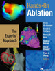 Hands-On Ablation: The Experts' Approach
