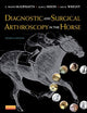 Diagnostic and Surgical Arthroscopy in the Horse