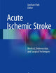 Acute Ischemic Stroke: Medical, Endovascular, and Surgical Techniques