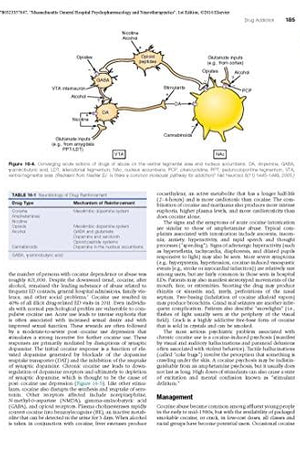 Massachusetts General Hospital Psychopharmacology and Neurotherapeutics