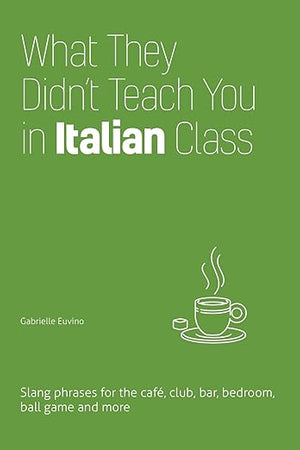 What They Didn't Teach You in Italian Class: Slang Phrases for the Cafe, Club, Bar, Bedroom, Ball Game and More (Dirty Everyday Slang)