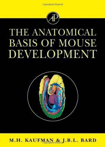 The Anatomical Basis of Mouse Development