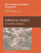 Skin Surgery and Minor Procedures, An Issue of Surgical Clinics (Volume 89-3) (The Clinics: Surgery, Volume 89-3)