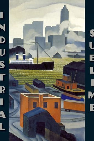 Industrial Sublime: Modernism and the Transformation of New York's Rivers, 1900-1940 (The Visitor in the Landscape)