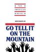 New Essays on Go Tell It on the Mountain (The American Novel)