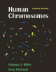 Human Chromosomes