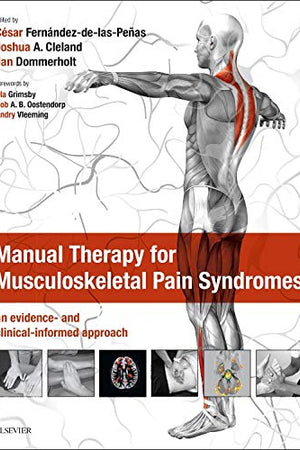 Manual Therapy for Musculoskeletal Pain Syndromes: an evidence- and clinical-informed approach