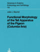 Functional Morphology of the Tail Apparatus of the Pigeon (Columba livia) (Advances in Anatomy, Embryology and Cell Biology, 110)
