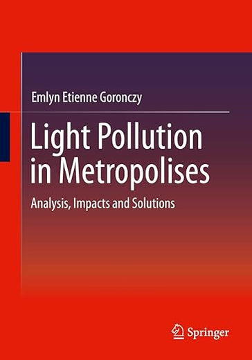 Light Pollution in Metropolises: Analysis, Impacts and Solutions