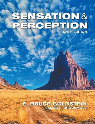 Sensation and Perception