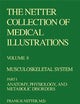 Musculoskeletal System: Anatomy, Physiology, Metabolic Disorders (Netter Collection of Medical Illustrations, Volume 8, Part 1)
