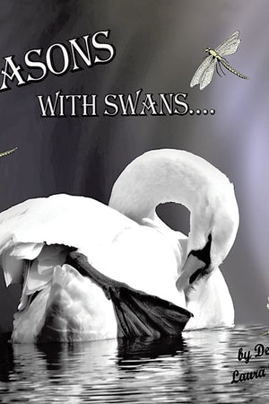 Seasons with Swans