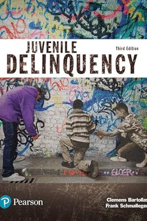 Juvenile Delinquency (Justice Series)