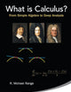 What Is Calculus?: From Simple Algebra To Deep Analysis