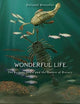 Wonderful Life: The Burgess Shale and the Nature of History