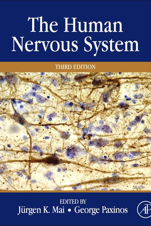 The Human Nervous System