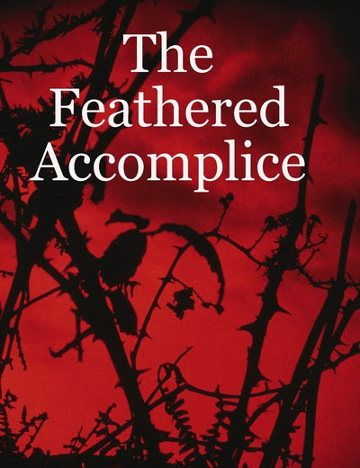 The Feathered Accomplice