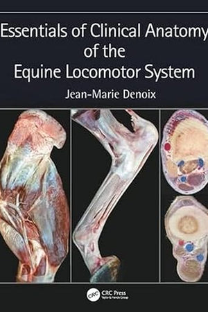 Essentials of Clinical Anatomy of the Equine Locomotor System